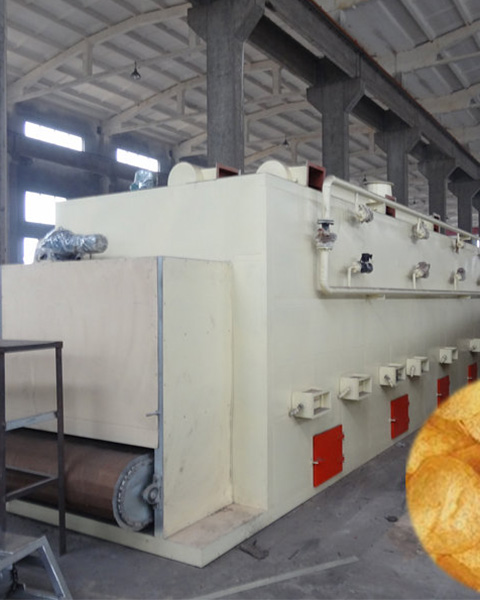 DW-Single Layer Belt Dryer